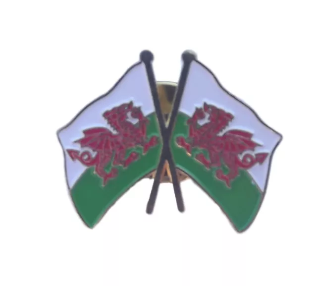 Wales Cymru Friendship Double Flags Enamel Lapel Pin Badge