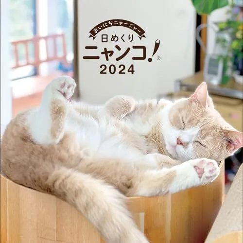 QUOTIDIEN KITTY! 2024 (Bureau Quotidien Calendrier Chat Version