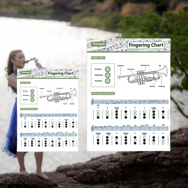TRUMPET CHART Fingering Chart for Kids Learning Material Practice Tool