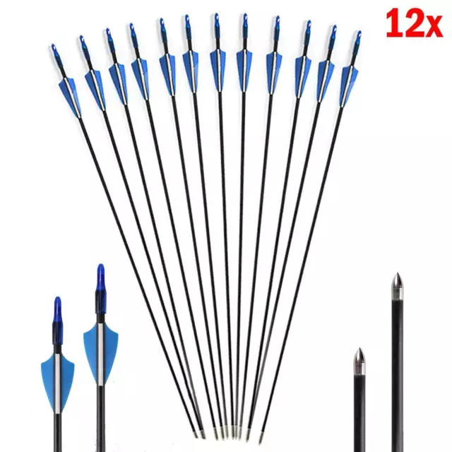 12Pcs 30 inch Fibreglass Archery Arrows Field Hunting & Target Broadhead Tool UK