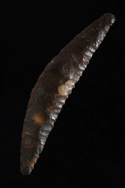 DANISH LUNATE SICKLE, CRESCENT KNIFE, Dagger Period, Denmark, Jackson COA