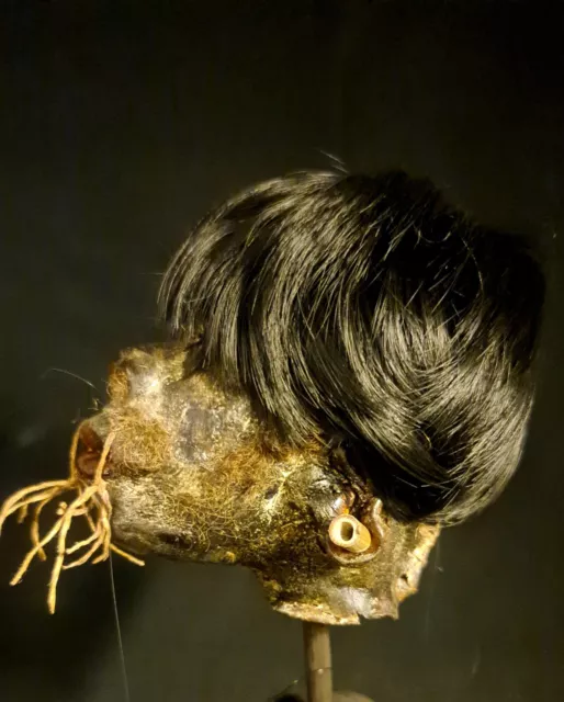 Schrumpfkopf shrunken head tsantsa