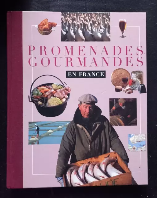 Promenades gourmandes en France Par Jean-Luc Petitrenaud, Pierre Vallaud