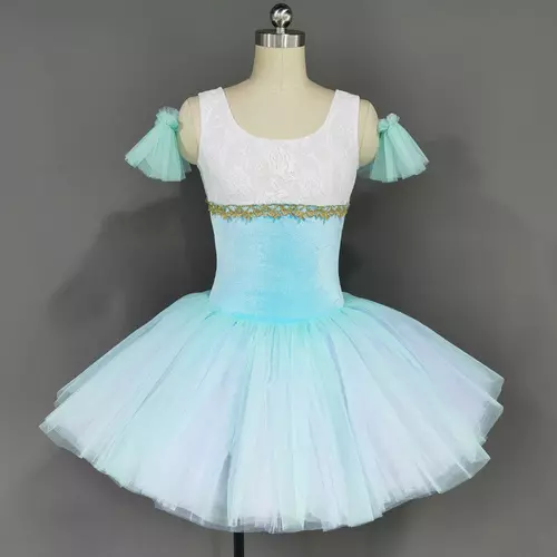 Aqua Blue Velvet Bodice Romantic Tutu Skirt  Girls  Ballet Dance Costumes Dress