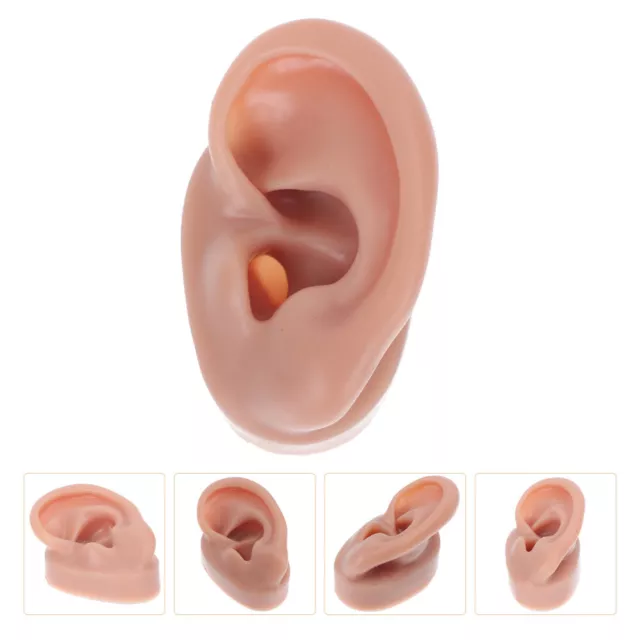 Ear Presentation Model Simulation Human Silicone Suture Student Body