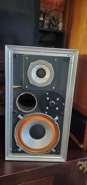 Enceinte LEAK 2030 2