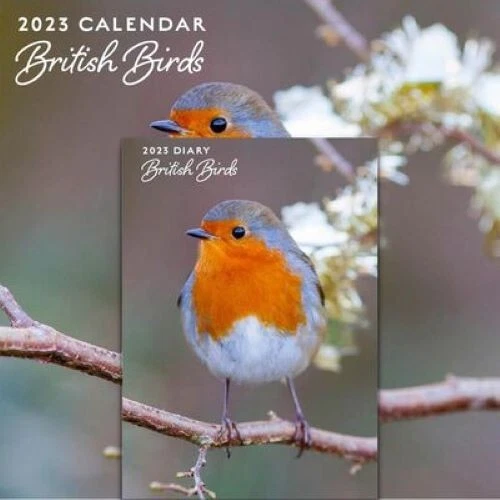 british-birds-2023-calendar-and-diary-set-5-00-picclick-uk