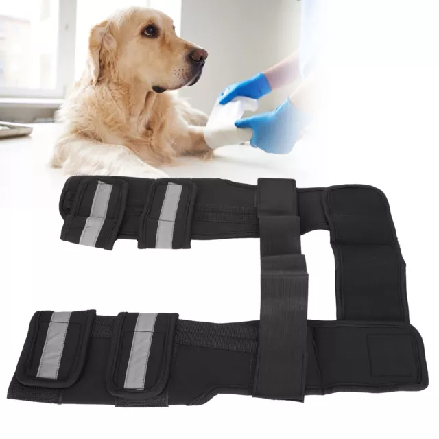 (L) Dog Elbow Pad Dog Joint Brace Schmerz Lindern Komfortabel Entzündung