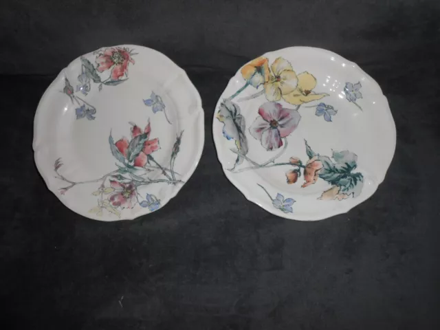 Assiettes Choisy Le Roy Hyppolyte Boulenger terre de fer Thème LES FLEURS  TBE++