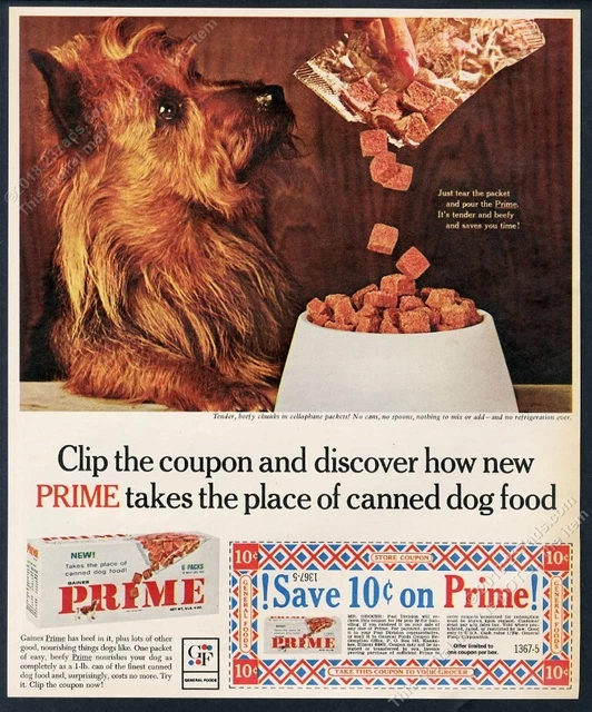 1964 Norwich Terrier photo Prime dog food vintage print ad