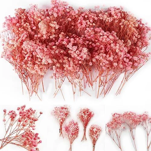 65 piezas mini flores rosadas secas para el aliento del bebé, más de 4000 gitanofila natural, seco