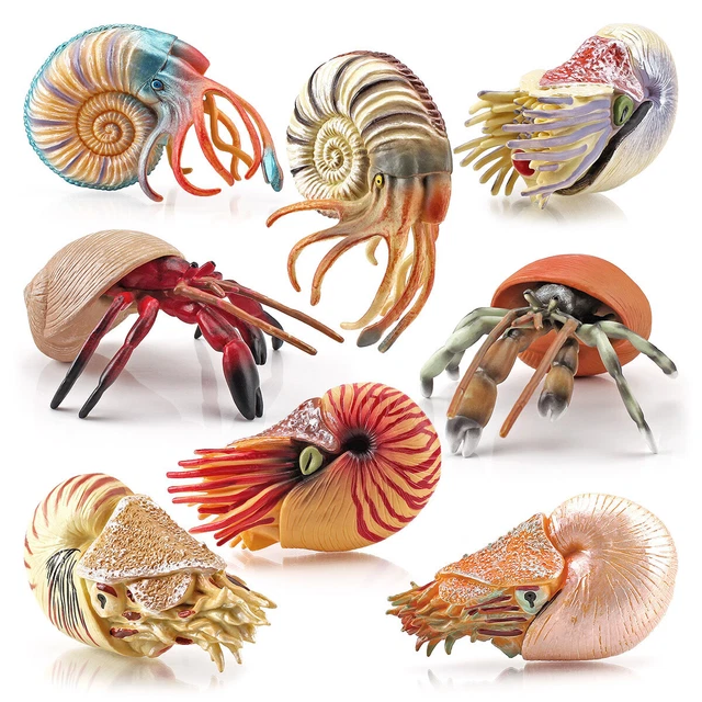 Nautilus Figure Ancient Creatures Collector Fish Tank Scene Decor Kids Toy Gift
