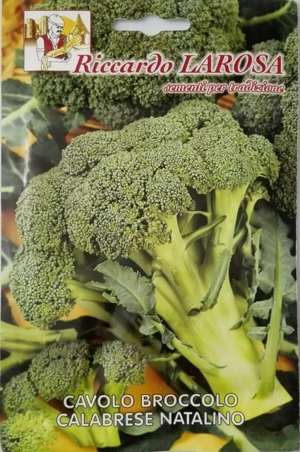 Cavolo Broccolo Calabrese Precoce (60 Giorni): Varietà E Formati - Foto 12
