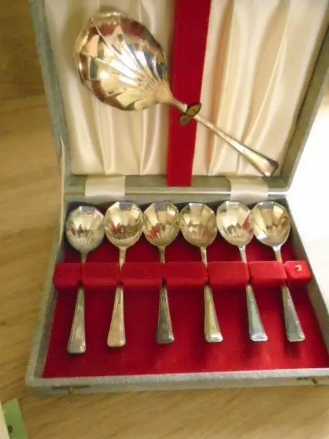 Vintage Silver Plated Desert Spoon Set with Server by James Ryals Sheffield