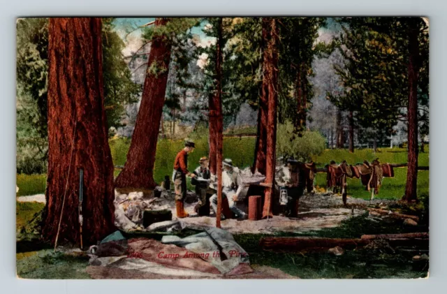 CA- California, Camp Among The Pine, Scenic Outside View, Vintage Postcard
