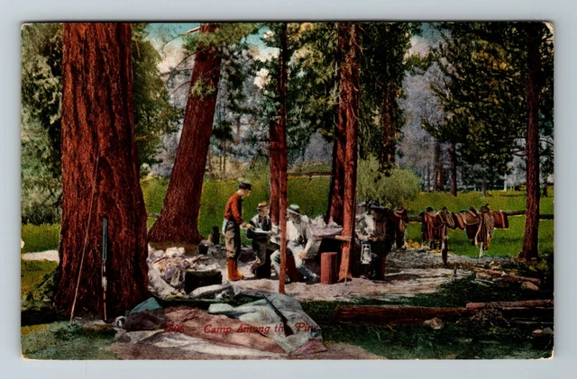 CA- California, Camp Among The Pine, Scenic Outside View, Vintage Postcard