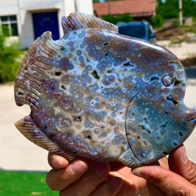 331G  Amazing Natural Ocean Jasper Crystal Carved Fish Jasper Halo Stone