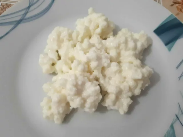 KEFIR DI LATTE 10GRAMMI LATTE intero BIO GRANI PROBIOTICO FERMENTI LATTICI VIVI 3