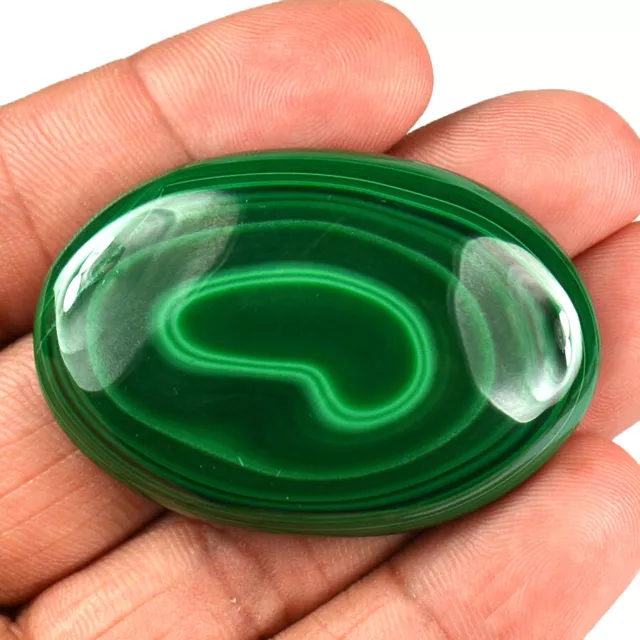 Haut Qualité 186 CT Naturel Vert Malachite 49 MM Ovale Cabochon Desseré Gemme 2