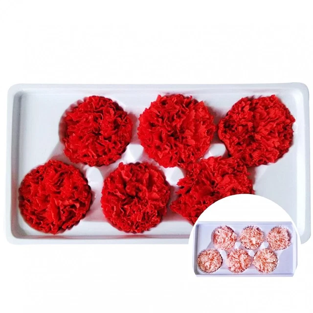 6 piezas/caja regalo caja de flores sin desvanecerse exquisito seco
