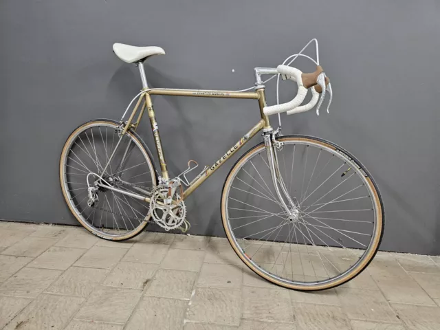 Gazelle Champion Mondial Eroica