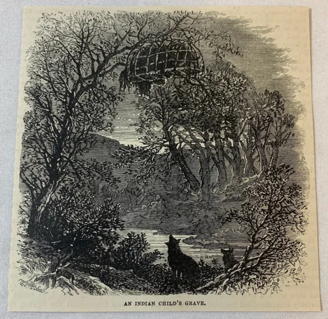 1887 Zeitschrift Gravur ~ Eine Indianer KINDER Grave Suspended aus Einer Tree