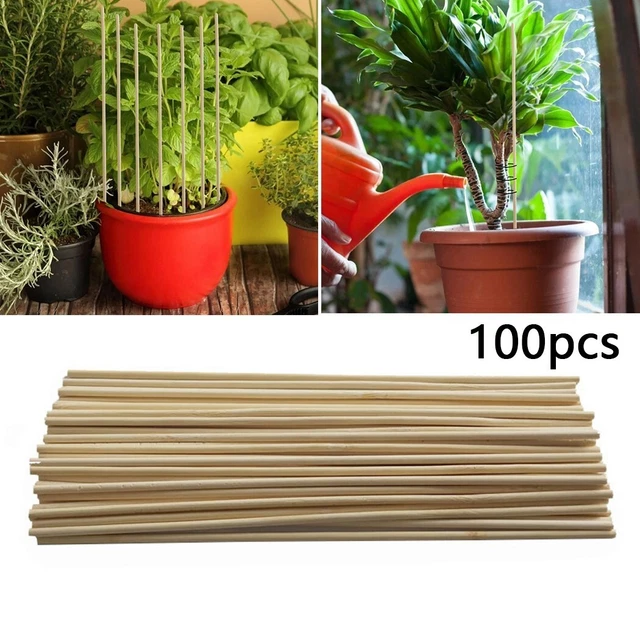 BAMBUS HOLZ PFLANZE Stecken Stange Garten PlantsUpport Blumen Stock