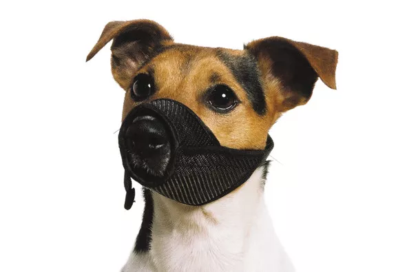 Ancol Soft Mesh Dog Muzzle Comfortable Breathable Nylon Strong Reliable Muzzle