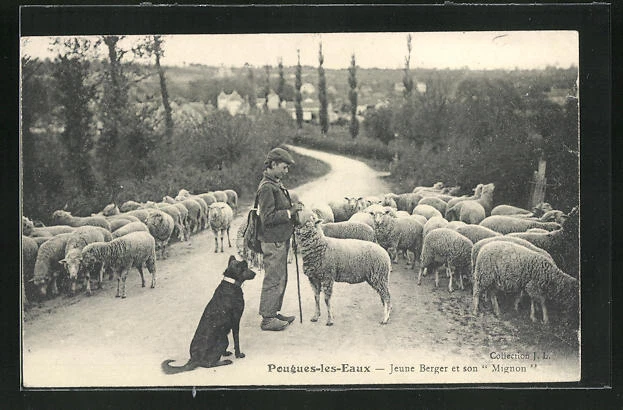 CPA Pougues-les-Eaux, Jeune Berger et son Mignon 1909