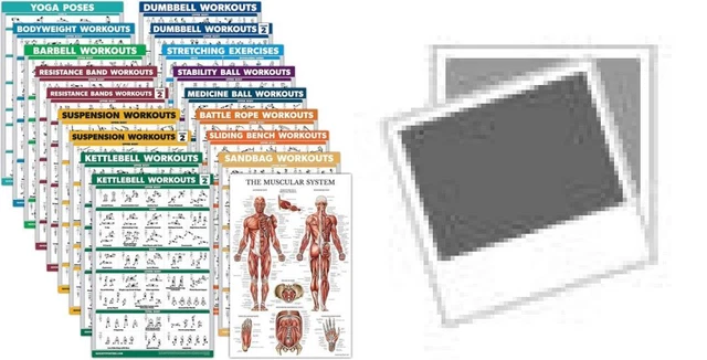 Palace Learning 18 Pack - Exercise Poster Set: Dumbbell, 18" x 24", LAMINATED