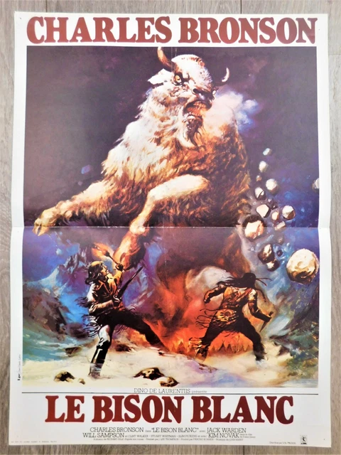 Affiche YAKARI Indien Cheval Petit Tonnerre Bison Blanc - Poster Enfant