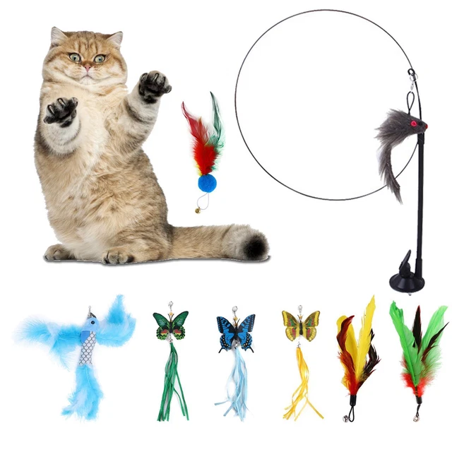 8 Pièces Chat Plume Jouet Exercice Chaton Jouant Kitty Teaser
