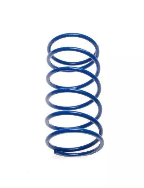 Ressort d'embrayage arrière KR GY6 / DIO4T 109 mm Clutch Spring