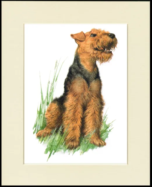 Welsh Terrier Seated Dog Charming Dog Print Mounted Ready To Frame