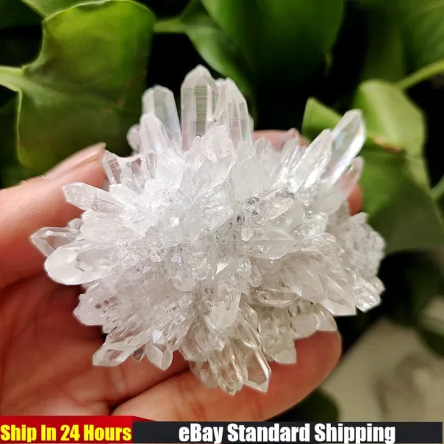 100g Natural Clear Quartz Crystal Cluster Rock Stone Druzy Geode Specimens Reiki