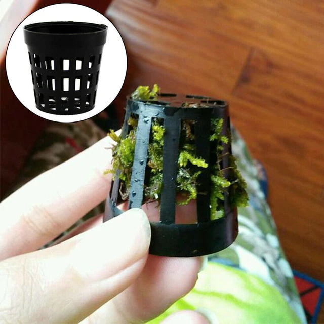 Maceta de plantas de acuario soporte para tanque de peces C2O3