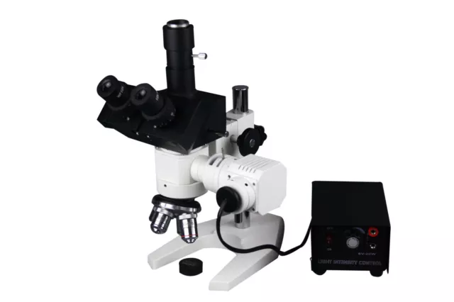 600x Trioculaire Haut Lumière Métal Inspection Metallograph Microscope W Caméra