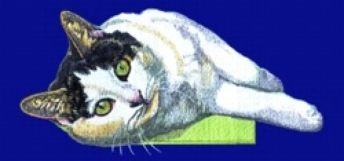 Embroidered Sweatshirt - Black & White Shorthair Cat BT2520  Sizes S - XXL