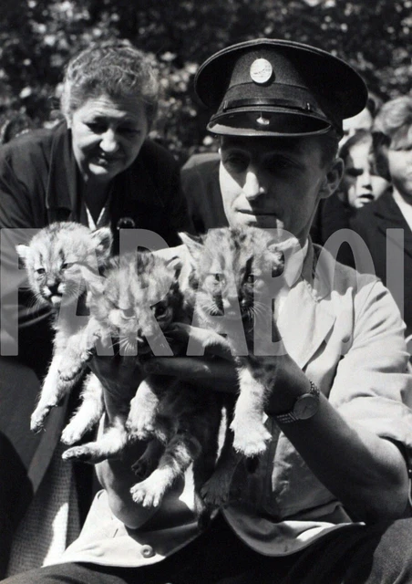 Tirage Argentique Vintage - Congrès Socialiste à Rome, Italie Circa 1968 - Format 15x20 Cm