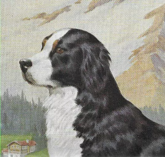Bernese Mountain Dog - CUSTOM MATTED - Vintage Color Art Print - CLEARANCE 5 x 7