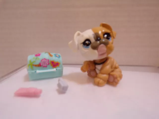 Littlest Pet Shop~#3587~Mommy Bulldog~Puppy Dog~White Beige~Blue Dot Eyes~Chest