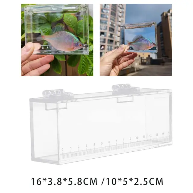 Fishing Photo Tank Acrylic Fish Tank Isolation Box Portable Fish Viewing Box
