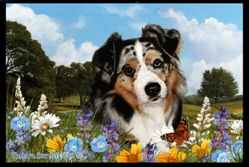 Summer Floor Mat - Blue Merle Australian Shepherd 39059