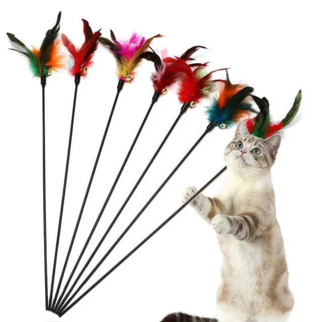 Jouet teaser 5 pièces tige de cloche jouets classiques pour chat plumes coloré