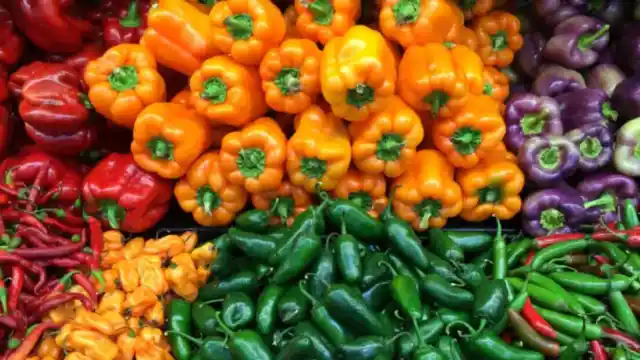 Chilli & Pepper - Choose Rare Varieties Hot Medium Mild Sweet - 1 PLUG PLANT