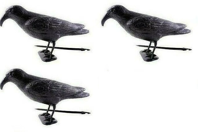 3x Rabe Taubenschreck Vogel Taubenabwehr Vogelschreck schwarz Abwehr