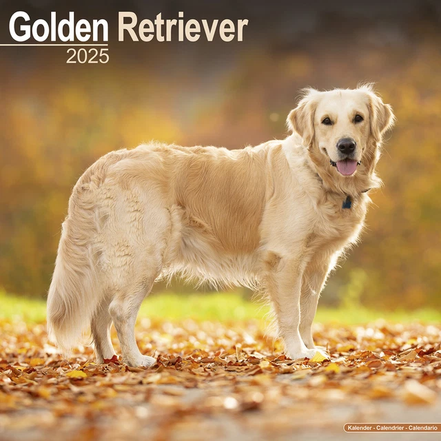 Golden Days Calendar 2025 