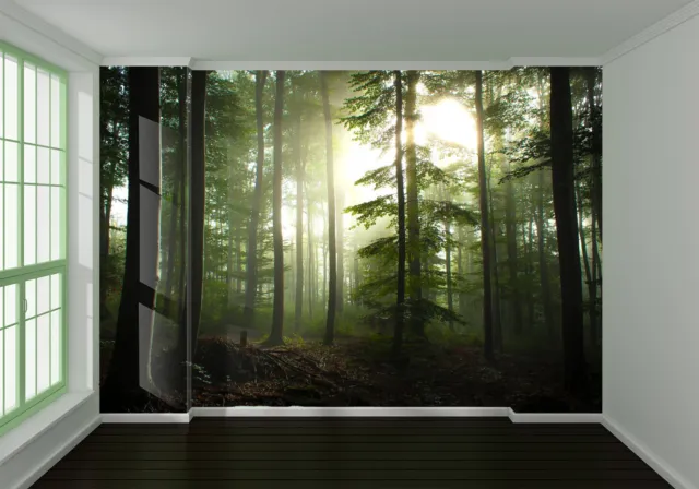 3D Forest Trees Sunshine 49719NA Wallpaper Wall Murals Removable Wallpaper Fay