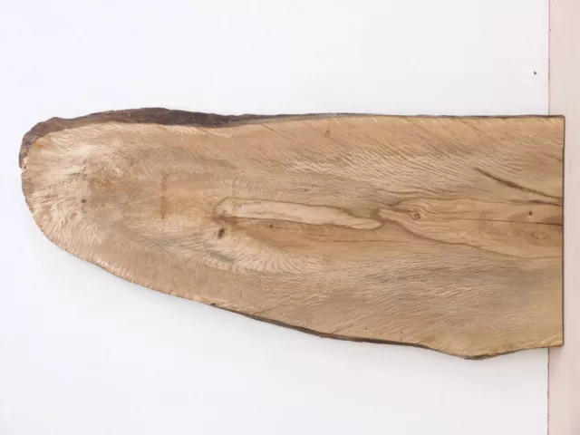 Inglés Spalted Holm Roble Madera Junta. Tablón De Rebanada Señal 410 x 900 X