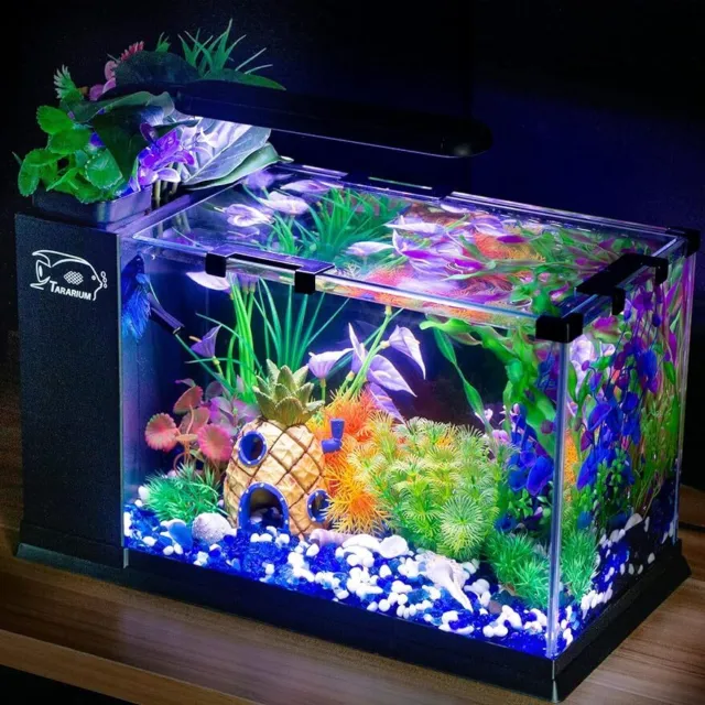 5 Gal Fish Tank Glass Small Aquarium Starter Kits w/ LED Light & Filter HOT